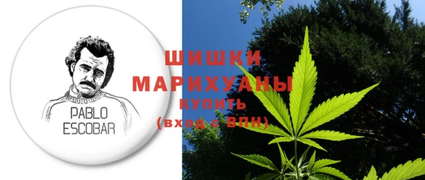 PSILOCYBIN Инсар