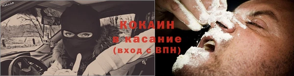 PSILOCYBIN Инсар