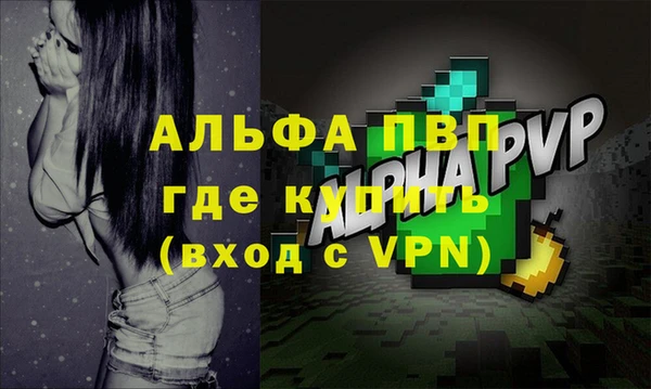 винт Инта
