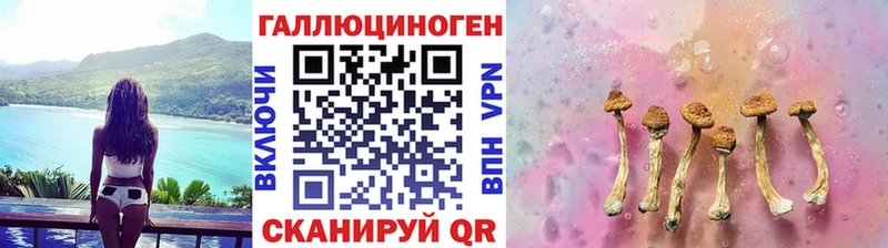 Купить где  Волжск  Псилоцибиновые грибы Psilocybine cubensis 